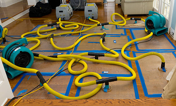 Professional Basement Flood Cleanup technician working in Saint James, NY